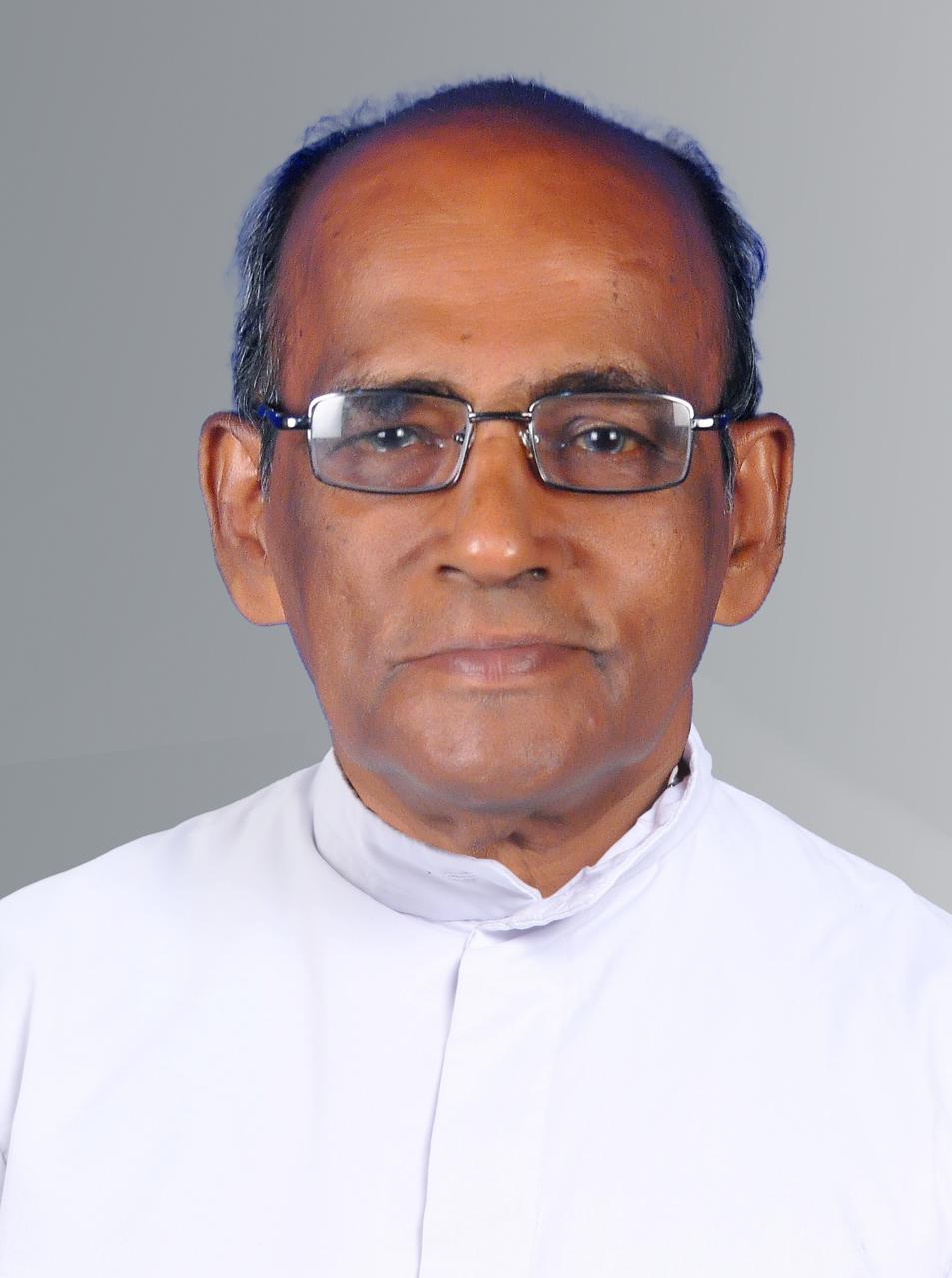 Rev. Fr Joseph Manjananickal CMI 